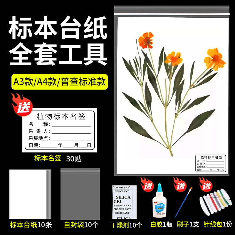中药材标本框画-中药材标本框画促销价格、中药材标本框画品牌- 淘宝