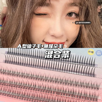 Fairy hair fishtail mixed with Yu Shuxin A- type hair false eyelashes grafted natural single cluster of eyelashes