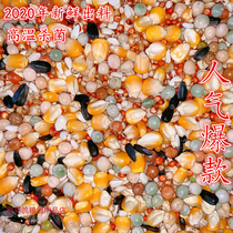 Hongyu pigeon food health belt corn bird food Pigeon food bird food feed 50 kg