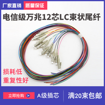 Telecom-grade 10 gigabit multi-mode 12-core bundle color fiber 50 125 SC fiber pigtail LC terminal box for filament disc