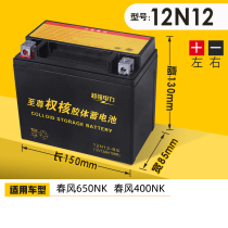 Motorcycle dry battery YTX12 applicable spring breeze 650NK400 Guangyang 250 rowing 300 battery 12V12ah