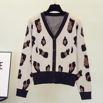 Pregnant women knitwear spring and autumn coat fashion large size mid pregnancy short BAO WEN base shirt late pregnancy tide