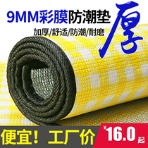 Picnic mat outdoor camping tent sleeping mat thickened waterproof portable beach mat picnic outing lawn moisture-proof mat