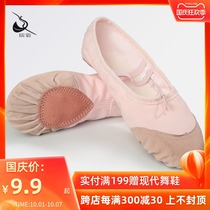 Cypress Dance Shoes Womens Soft Bottom Summer Adult Dance Shoes Ballet Shoes Childrens Practice Shoes Cat Paws Yoga Shoes Yoga Shoes