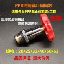 PPR Weixing ultra-thick globe valve core Weixing globe valve boutique pure copper spool circlip type Weixing valve
