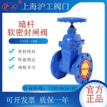 Shanghai Hugong elastic seat seal gate valve Soft seal flange gate valve Z45X-16Q DN80 DN100