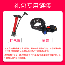 Car lock + pump bag (no delivery)