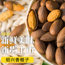 Shaoxing Torreya 2020 new fried Shengzhou nuts dried fruit canned snacks total weight 500g old tree torreya