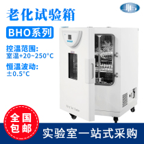 Shanghai Yiheng aging test chamber Rubber and plastic insulation material testing machine BHO-401A oven Drying box
