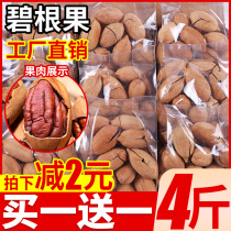 Bagan fruit longevity fruit nuts recommended snacks dried fruit daily nuts fried goods combination snacks childrens snack food