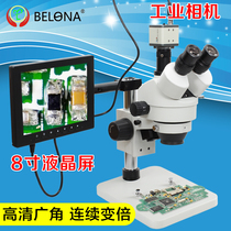 Berang Digital Industrial Electron Microscope with 8-inch LCD Screen Continuous Variant Repair Anatomical Appraisal