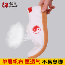 Taiji shoes canvas shoes womens single-layer breathable beef tendon exercise cloth shoes spring and summer martial arts tai chi sneakers mens Jinwu