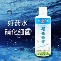 Fish tank aquarium potion nitrifying bacteria purifying agent sterilization and chlorinating water fish medicine white point disease liquid fertilizer algaectant