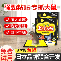 Mouse stickers super strong sticky mouse board mouse god glue catch catch big mouse home indoor catch