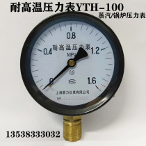 Shanghai Lianli high temperature pressure gauge YTH-100 0-1 6 1 2 5MPA boiler steam pressure gauge 4 points