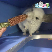 Buy 3 get 1 free (Yip Pet)Dried grass corn molar stick three sets of Chinchilla Rabbit Guinea Pig molar