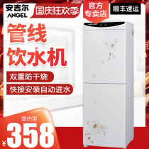 Angel pipeline water dispenser vertical hot and cold household double door warm ice hot office with water purifier