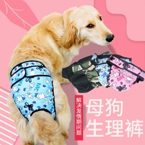 Large Dog Pet Physiological Pants Golden Hair Medium Canine Dog Samo Protection Menstrual Pants Anti Harassing Dog Physiological Pants
