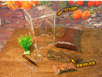 High transparent acrylic rearing case high feeding case tree shelter bird spider pet spider Spider Horn Tree Frog 12 * 12 * 20