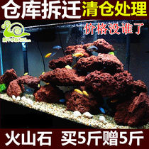 Songskin Stone green dragon stone Luohan volcanic rock rock fish tank decoration aquarium landscape stone small Rockery stone