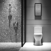 ARROW Arrows BATHROOM MUTE Home Siphon Style Water Saving Silent Flush Toilet AB1116