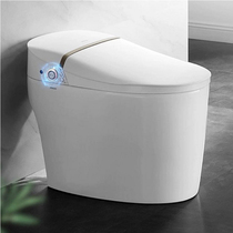 WRIGLEY Bathroom Smart Toilet AKB1305