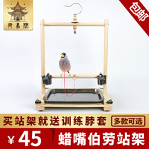 Xuanfeng monk Little sun starling Wren Wax mouth Shrike training bird shelf Parrot wooden stand frame Bird neck application products
