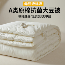 Raw cotton A type of mother and baby soybean fiber quilted winter quilt thickened by core spring and autumn space quilted by four seasons air conditioning silk cotton quilt