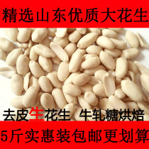 Raw Peanut Peanut Peanut Peanut Nougat Baking Raw Material Vacuum Pack 5kg