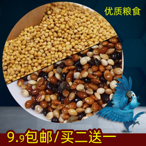 Five-color millet parrot mixed nutritional food Millet peony tiger skin Xuanfeng small and medium-sized parrot bird food feed