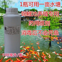 Koi fish pond culture potassium permanganate solution 1:1 Stock solution potassium permanganate solution pond fish brake fungus disease prevention
