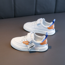 Childrens Board Shoes Boy Shoes Boy Shoes Little White Shoes Girl Spring Autumn Models Sneaker Boomers 2022 Spring New Exploits