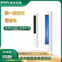 Yangzi air conditioning large 3 HP 2 HP P new first-class variable frequency heating and cooling dual-use cabinet cabinet type intelligent vertical living room