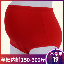 Big red this year cotton belly pregnant women underwear plus fat plus size 200kg pregnant womens shorts triangle trousers