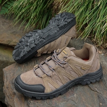 Foreign Trade Big Code Special Price Men UK Foreign Trade Tail Single Climbing Shoes Outdoor Hiking Shoes Bull Leather Anti-Splash Water Low Bunch Shoes