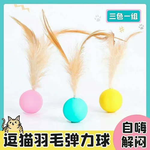 Игрушка, прыгучий мяч, прорезыватель, кот, избавление от скуки, домашний питомец, котенок