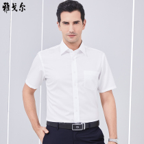 Youngor shirt mens short-sleeved business casual formal cotton non-hot white inch shirt tooling summer thin mens shirt