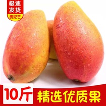 Hainan Sanya Guifei mango Tropical fruit Seasonal fresh red Golden Dragon Taiwan agricultural mans