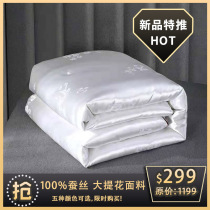 Tongxiang pure handmade 100 mulberry silk quilt with core winter quilt by the spring and autumn quilt by summer and autumn and winter thickened