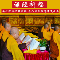 The Temple reads the Tibetan scriptures on behalf of the King Kong Sutra