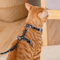 Special cat leash for out-of-out cat leash cat breast strap walking cat chain anti-Break Free adjustable rabbit rope leash cat rope