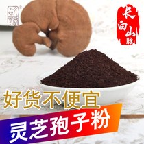Changbai Mountain broken wall Ganoderma lucidum spore powder imitation wild head Road powder 500g Linzhi robe oil Zheng Zong product Northeast Jilin