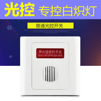 Street light outdoor light control switch Corridor delay induction controller type 86 engineering sound and light control two-wire 220V