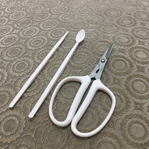 Crab stainless steel scissors three-piece set eat hairy crab scissors clamp crab crab removal crab scissors peeling crab