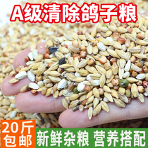 20kg of pigeon grain pigeon food feed pigeon hair change period special young pigeon food Bird bird food
