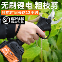Garden electric pruning shears Rechargeable fruit tree scissors cut branches coarse branch scissors Vineyard art Lithium electric pruning machine