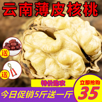 Yunnan boutique walnut new goods 2021 thin leather walnut paper shell original taste 5kg bulk nuts special pregnant women