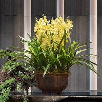 Orchid emulation Flower upscale Hui Lan Wandelan Purple Sand Orchid Potted Chinese Living Room Table Decoration Floral Swing Piece