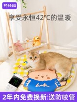 Pet electric blanket dog cat mat warm in winter safe timing thermostatic waterproof anti-scratch heating pet supplies