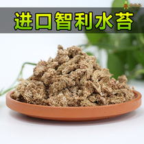 7A Imported Chilean Moss turtle hibernating various reptile animals dry moss moisturizing mat bag turtle